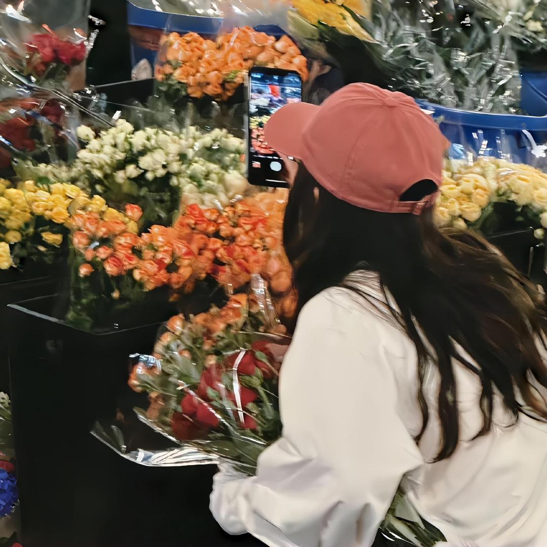 Word麻芽