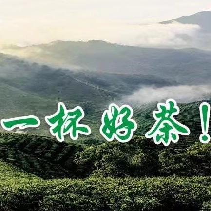 a15218539071