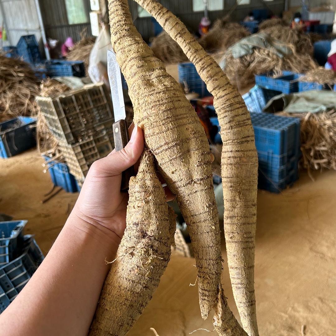 华盛农业生态种植园