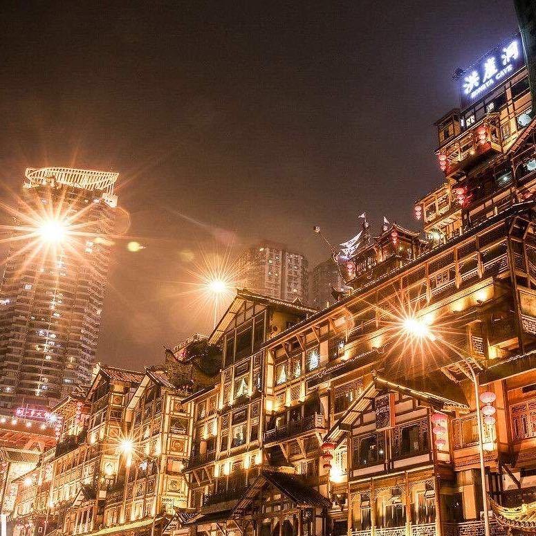 可爱的白兔