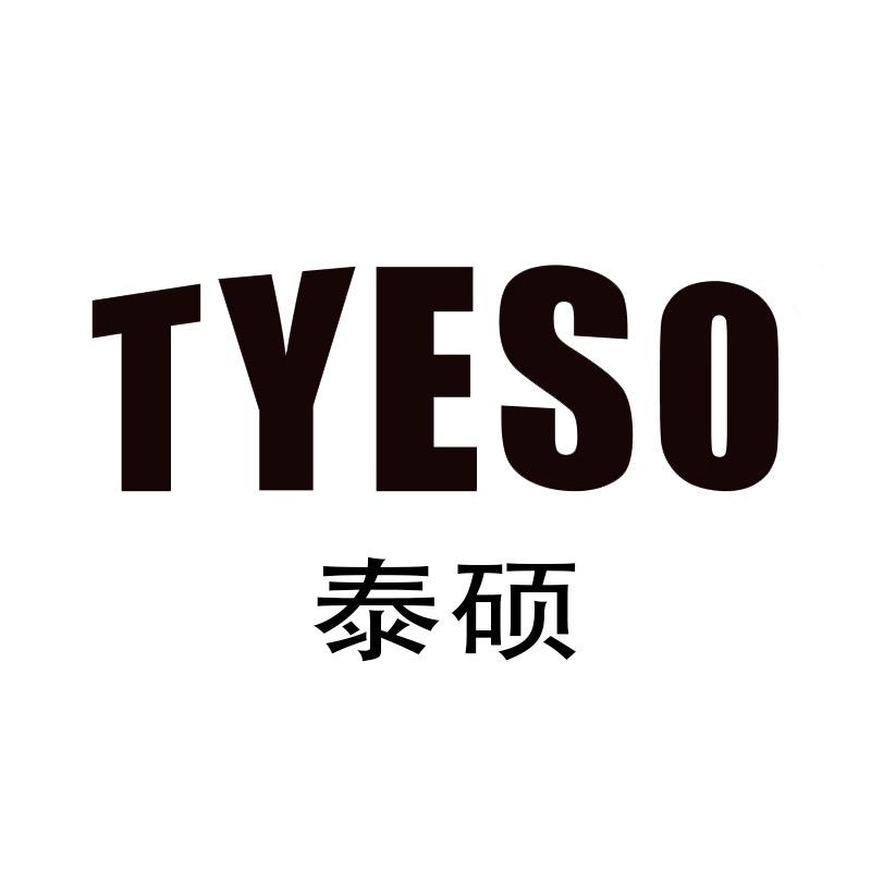 TYESO泰硕旗舰店