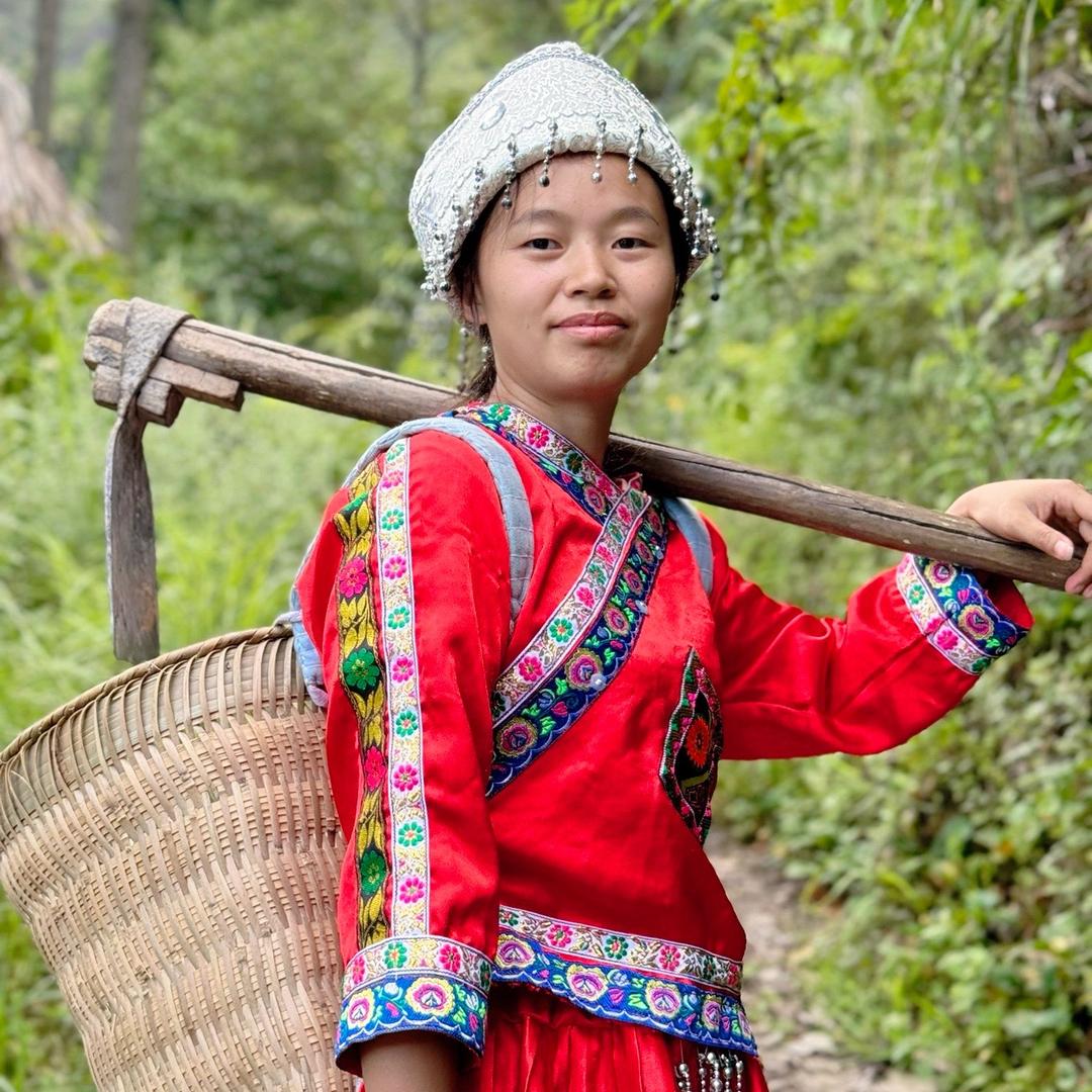 ☘️苗疆永红-金