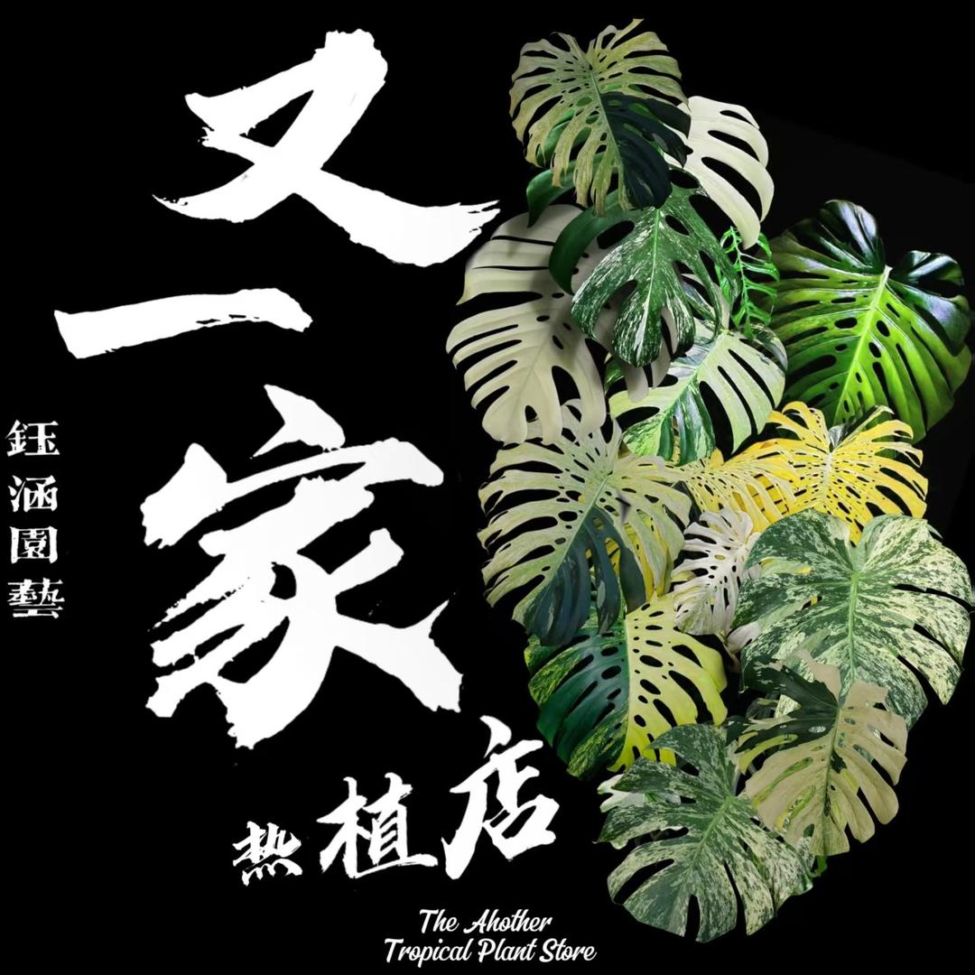 又一家热植店