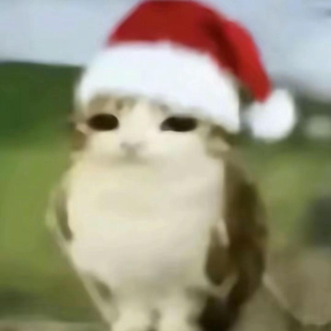 秋霜（填色找我