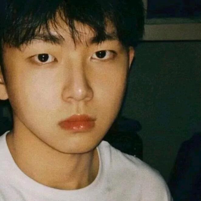 超级无敌帅气大花猪