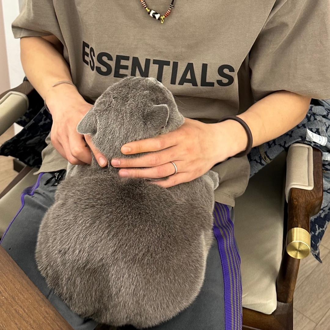 鸖鵒_