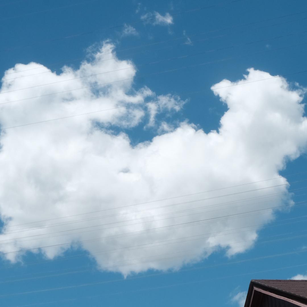 一条想躺平的🐟