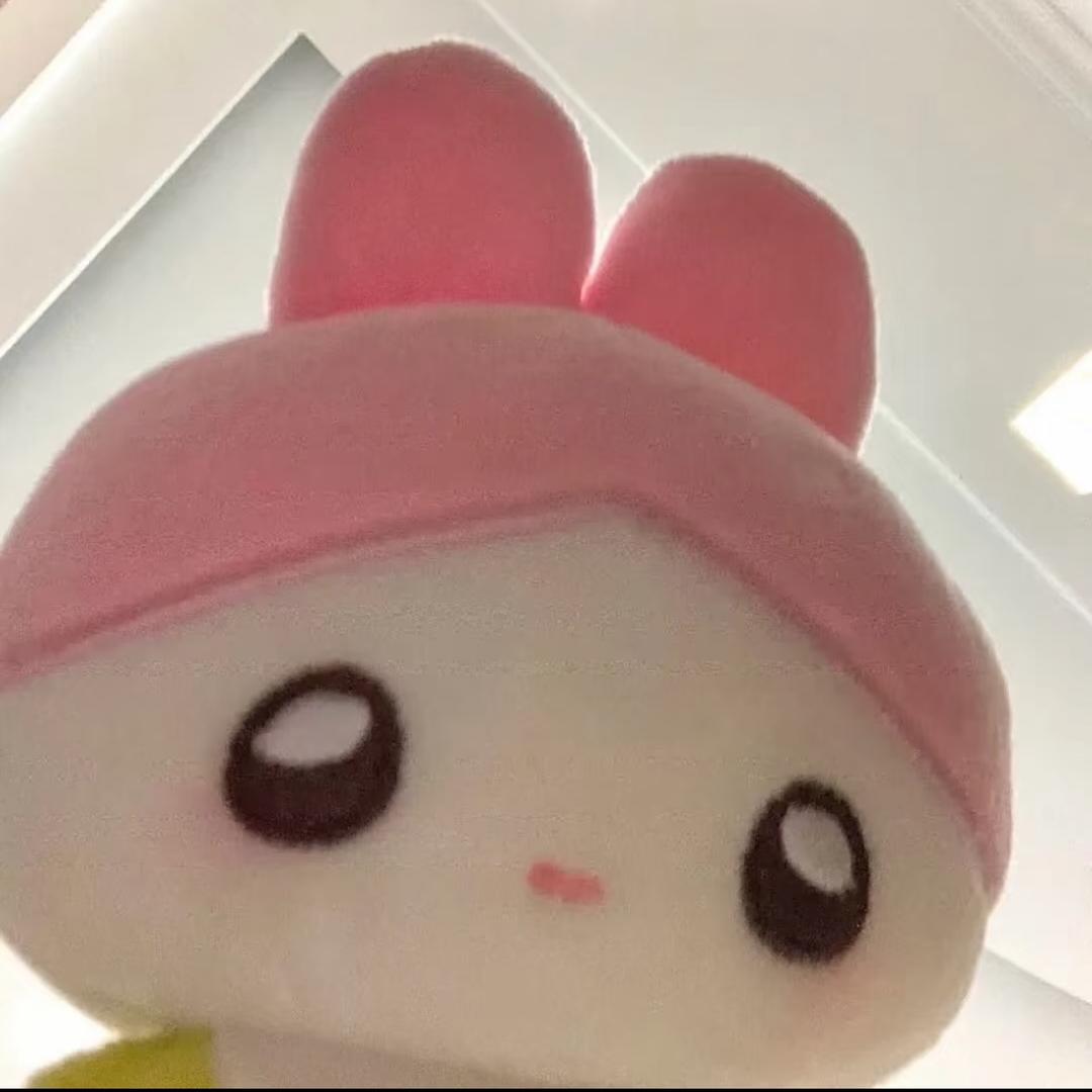 周日