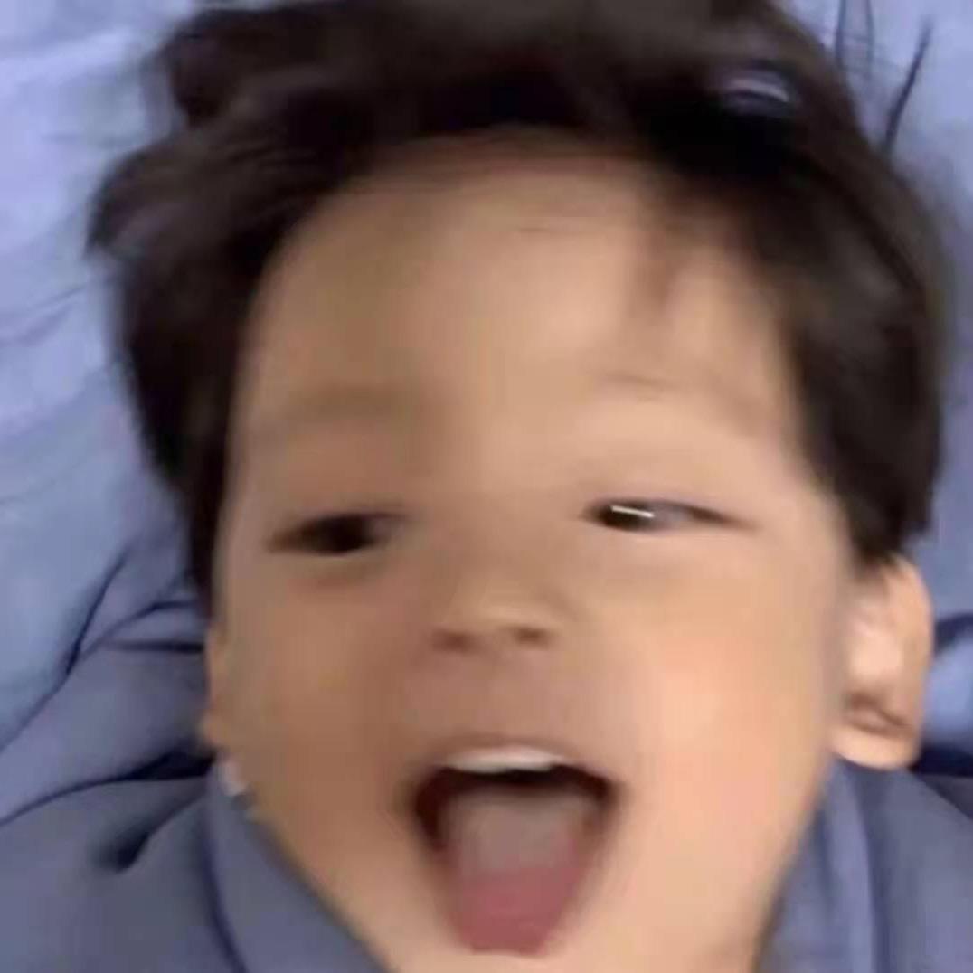 不死鸟🕸️