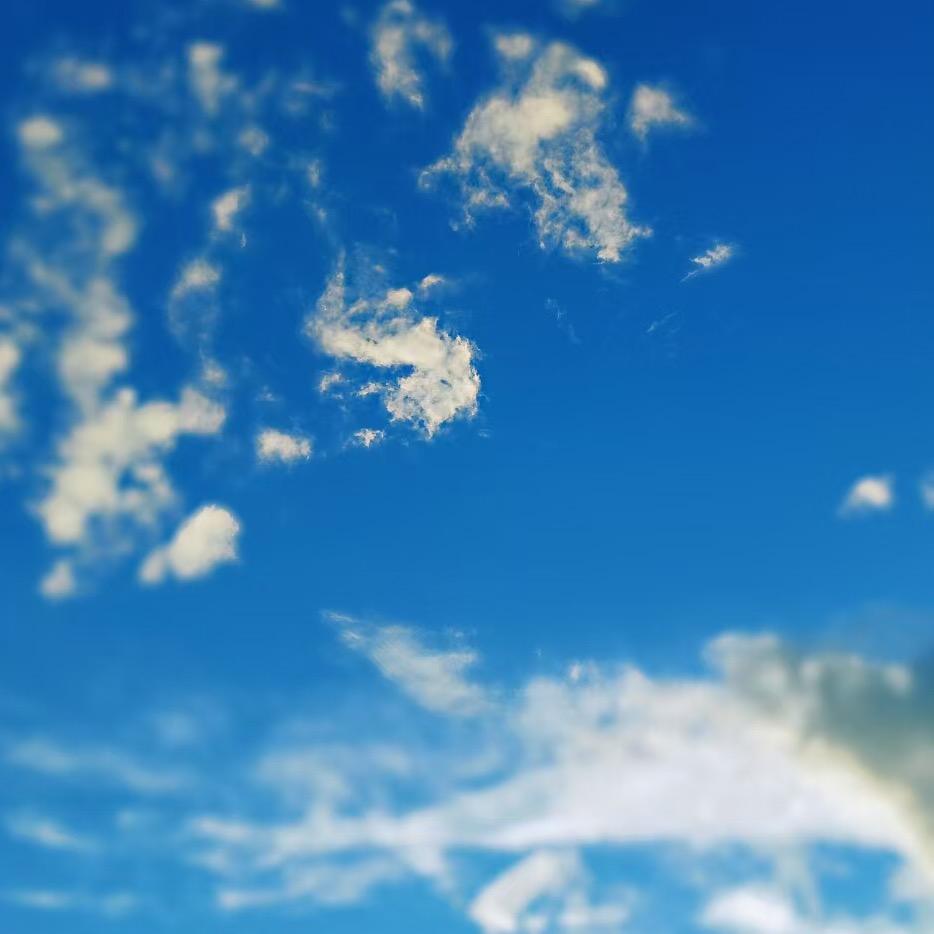 龙马精神