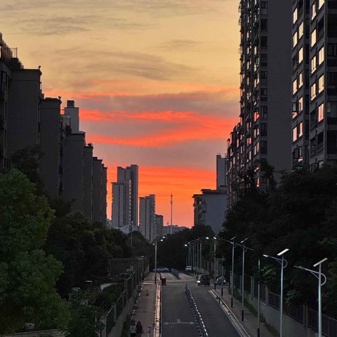 陆麓