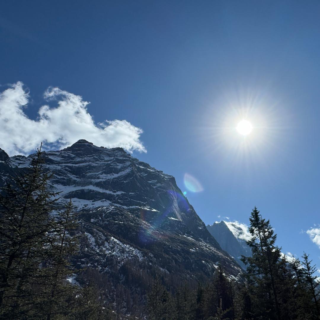厦门华晨--觅觅