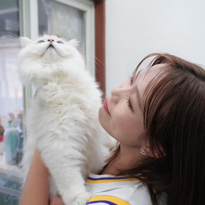 鱼鱼鱼仔