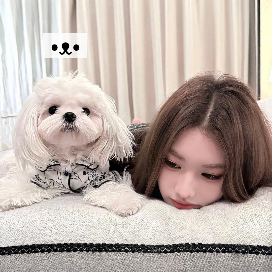 uu₌᳐･֊･₌᳐