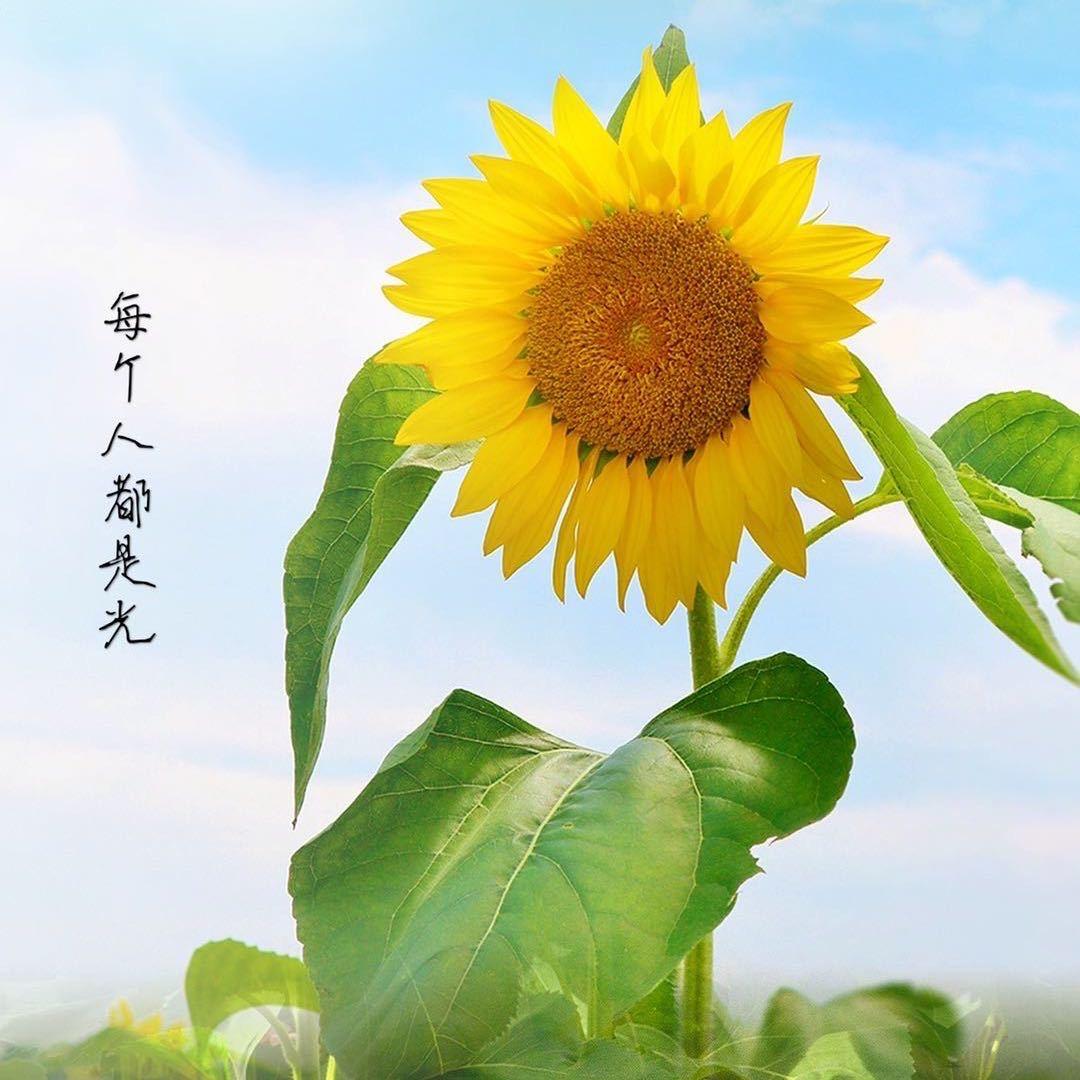 艾拍时光