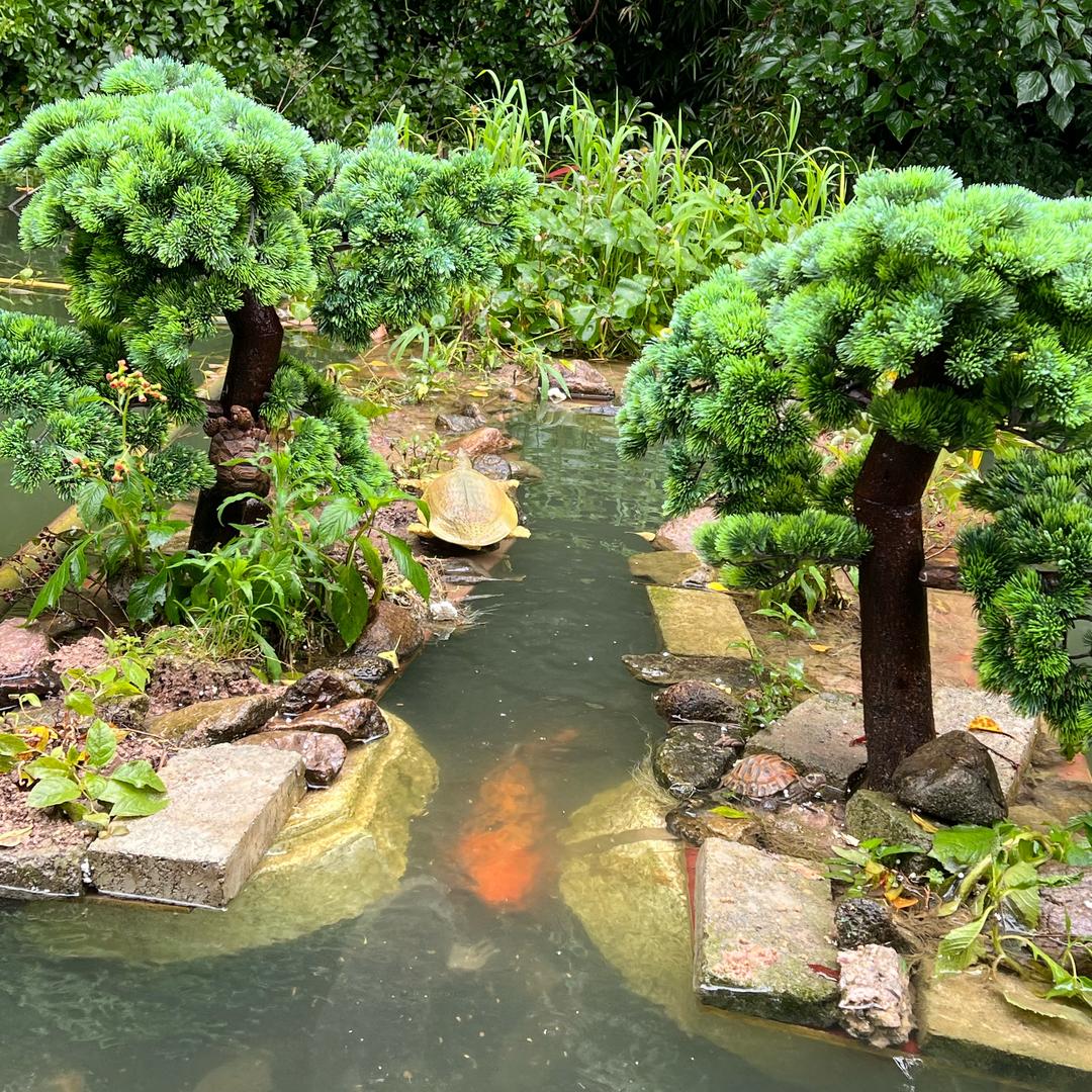 乡村钓鱼人