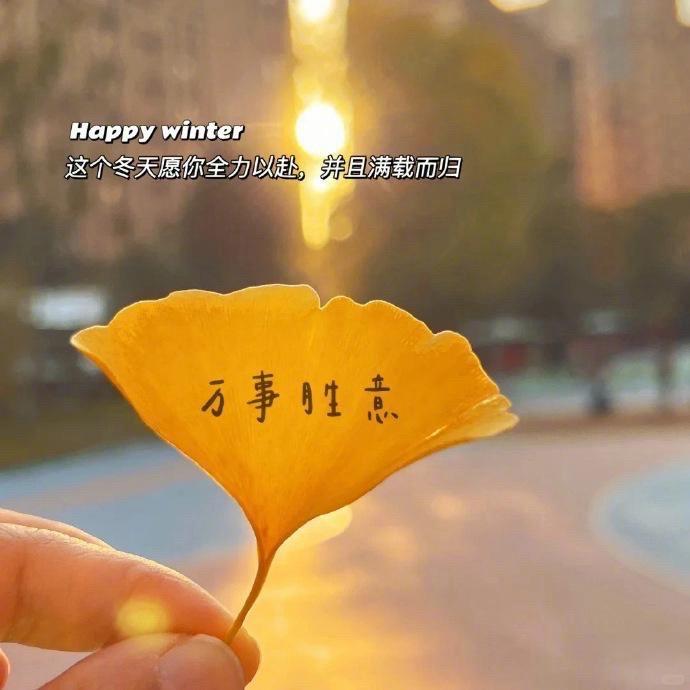 爱玩游戏的小贝