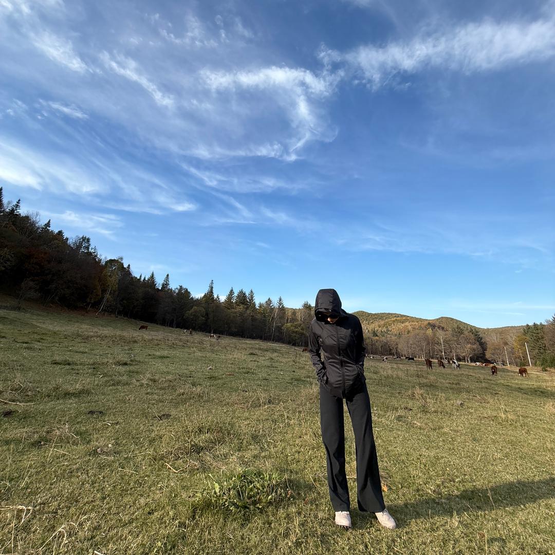 海南兄弟安达轿车托运