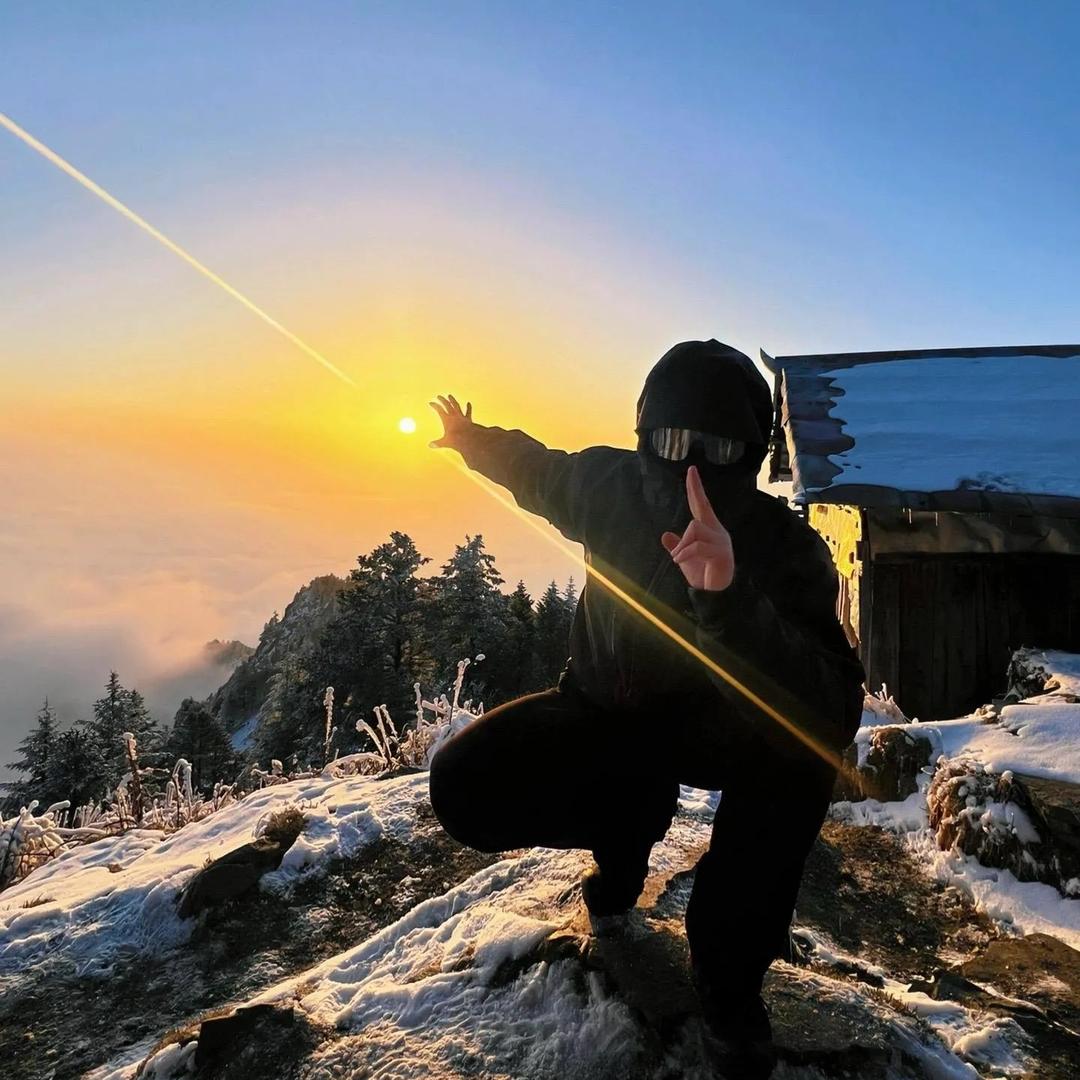 不吃萝卜的兔子🤓