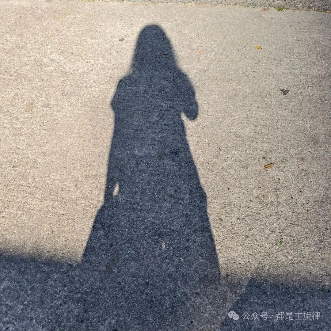 葛葛葛葛哪讷🌸