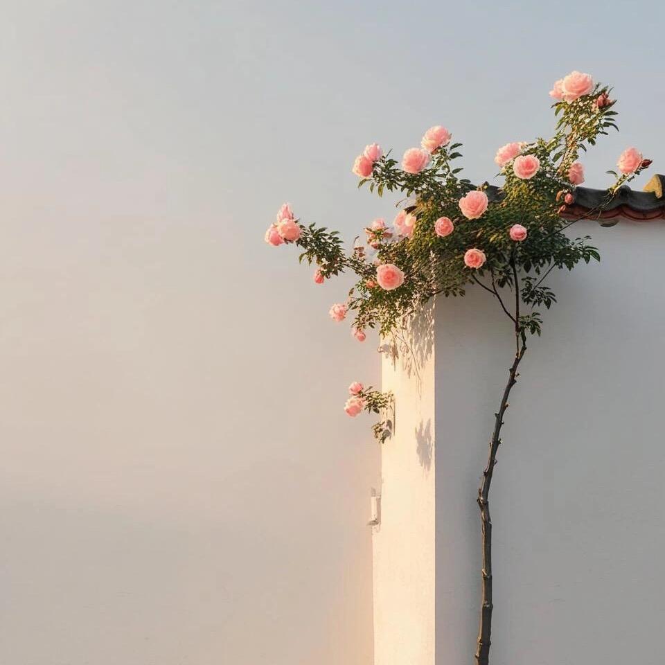 不发脾气只发财h