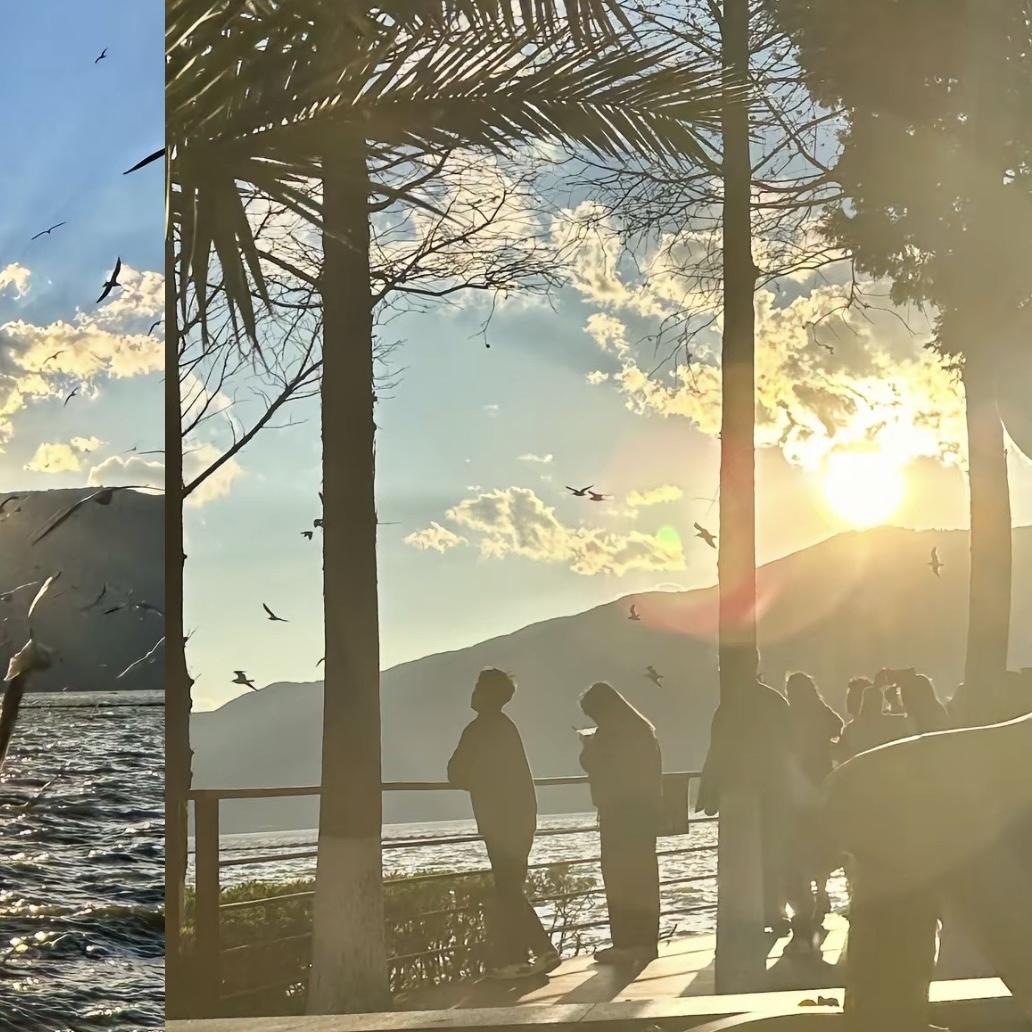 AOIMO柝商户外专卖店