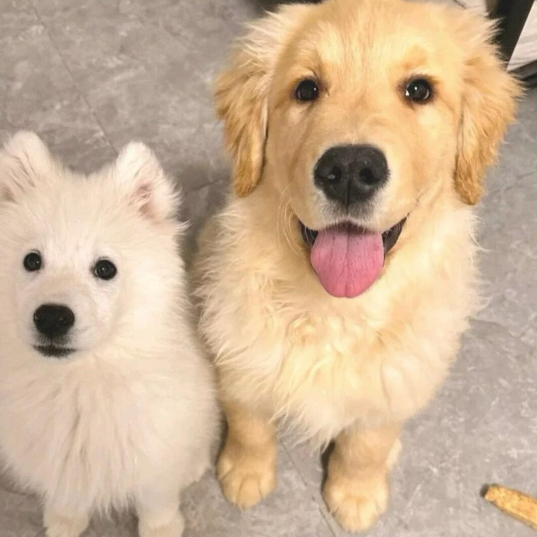 ￴￴￴ 喜欢睡懒觉