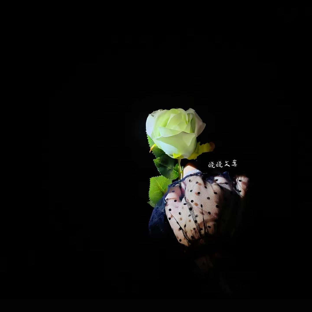 白茶清欢无别事🍃