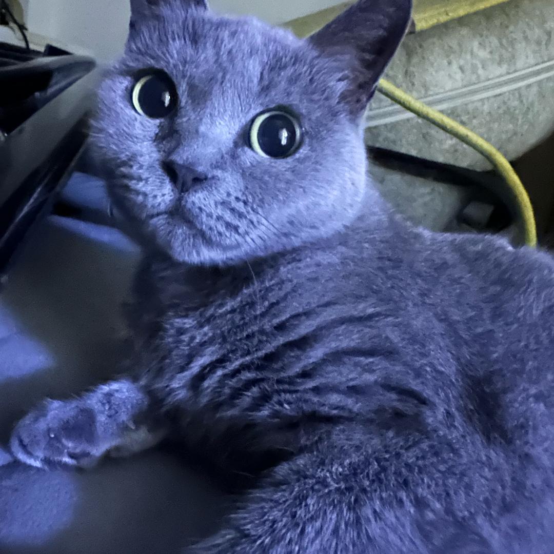 🌈灰化肥挥发会发黑