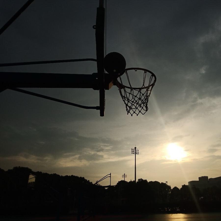 我有一朵小红花