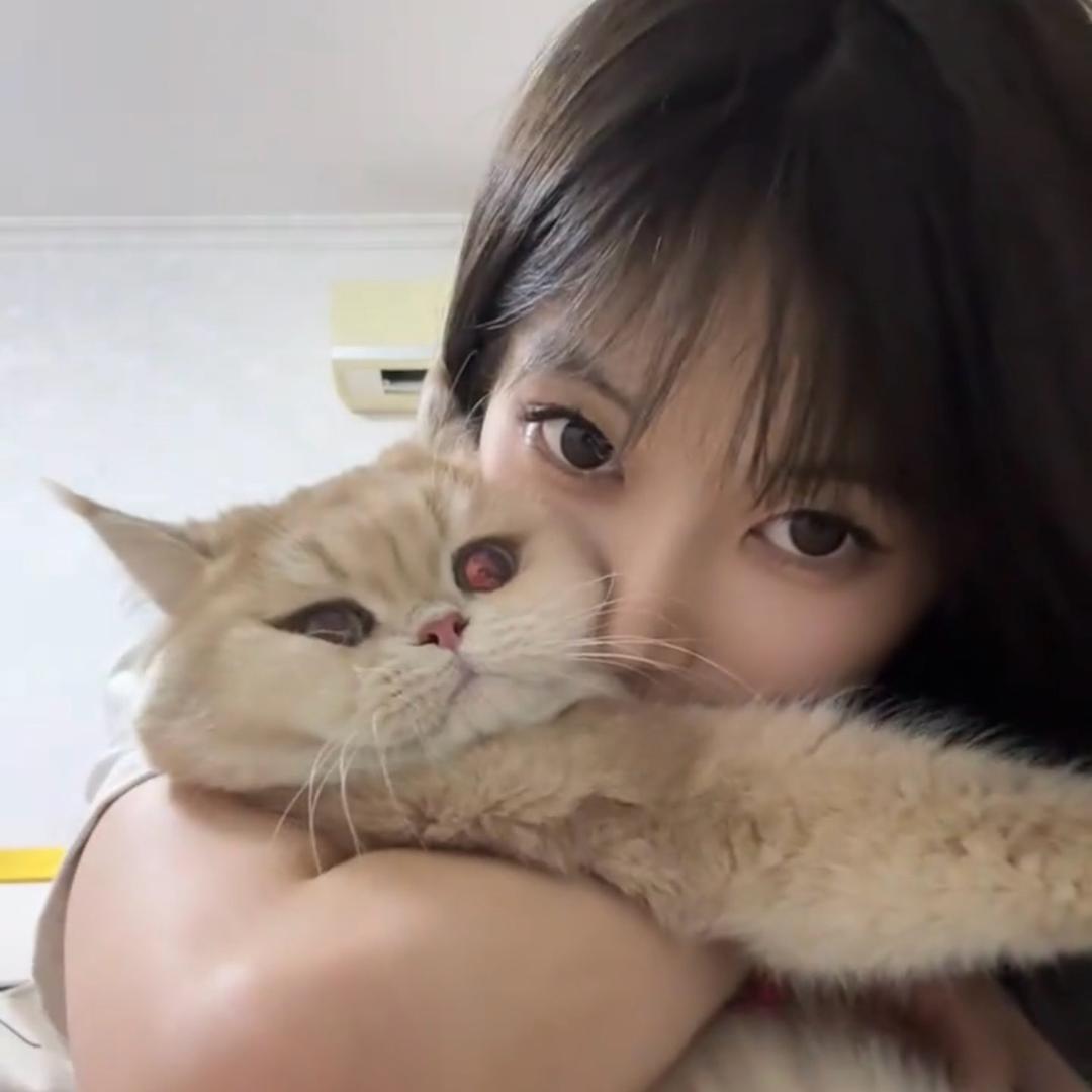 猫屎味美女