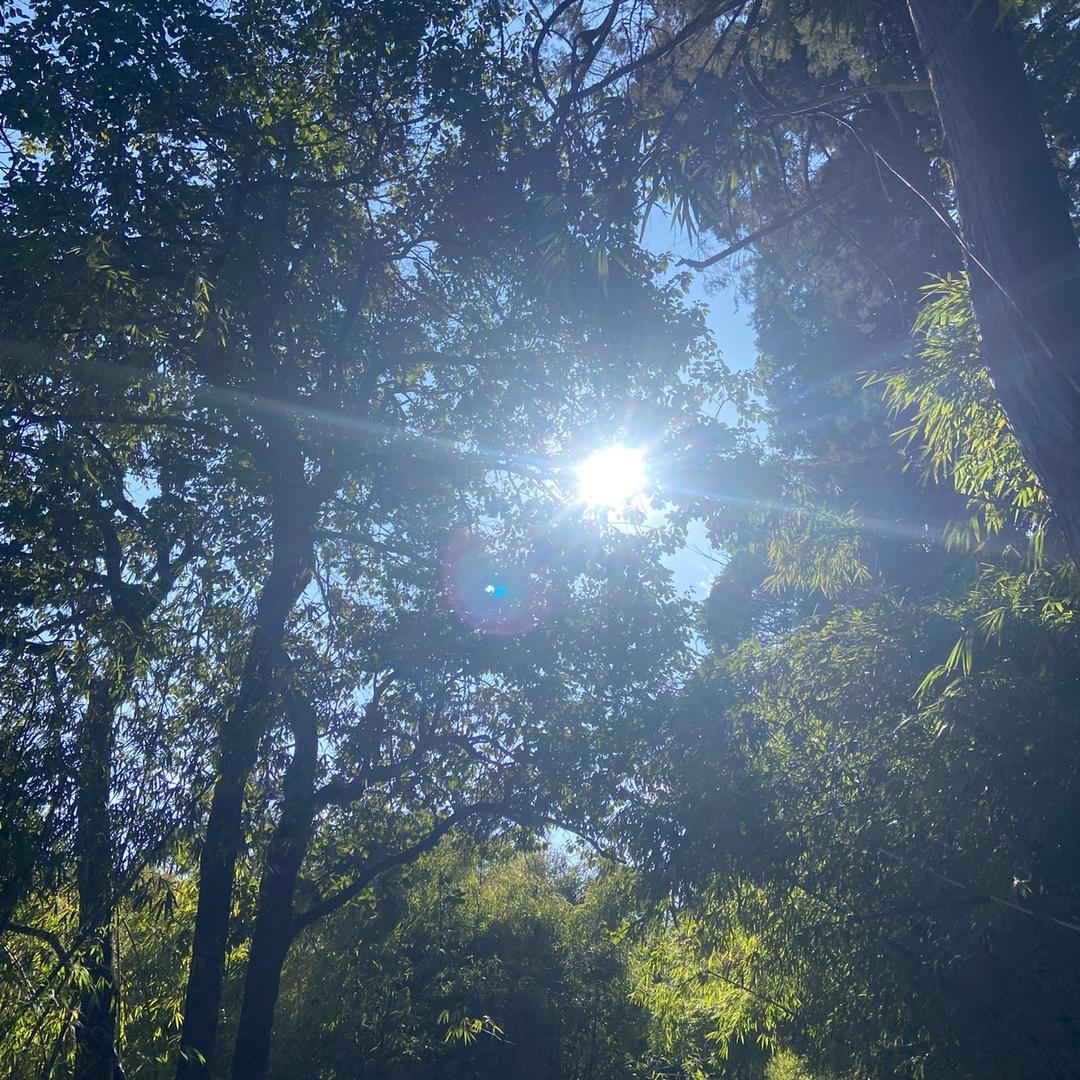 拼搏作兴趣⏱️