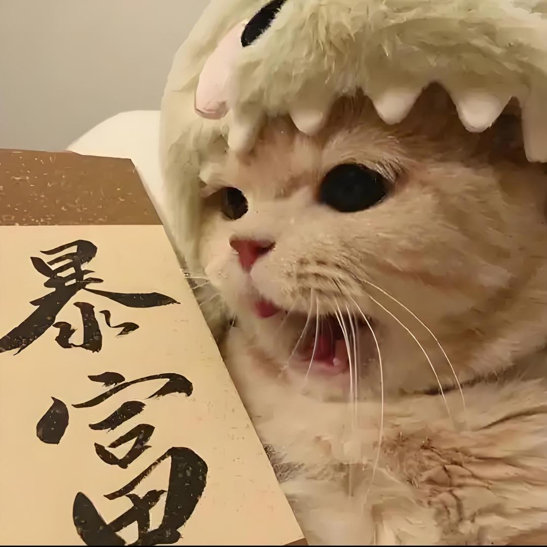 大玉环球之旅