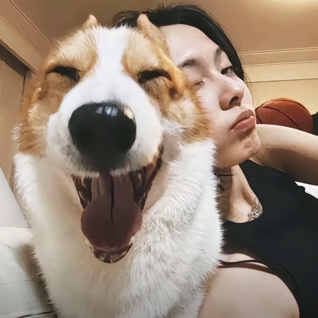 鱼块