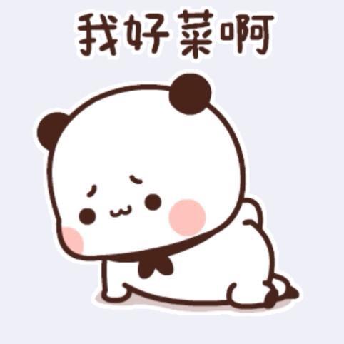 是小星呀　　　　　╲