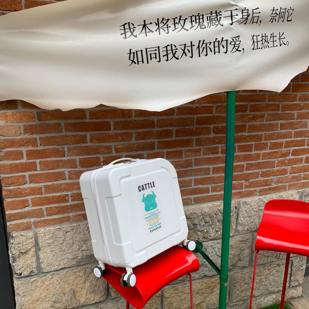袋鼠时尚旅行箱