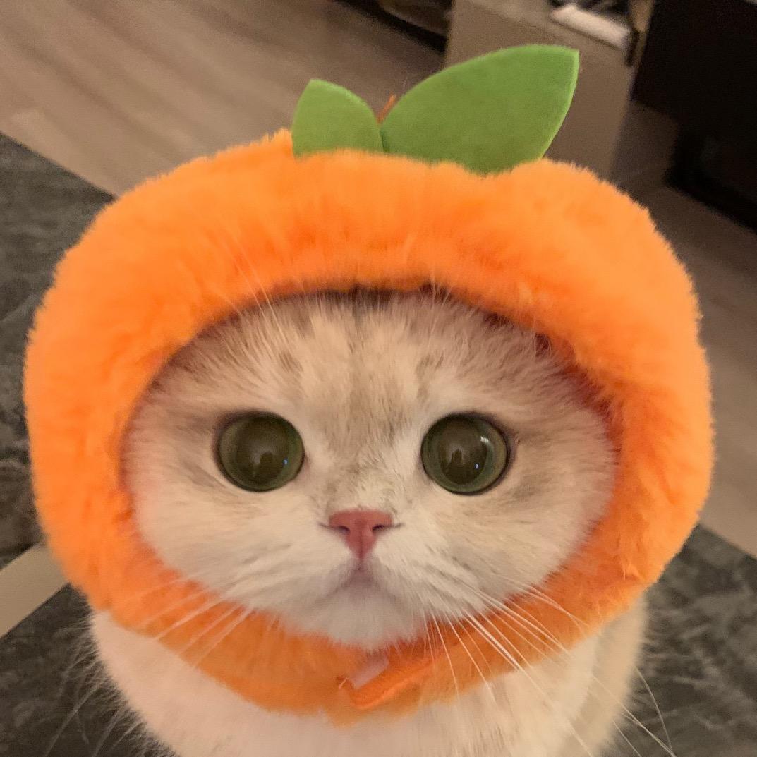 辣椒 🌶️
