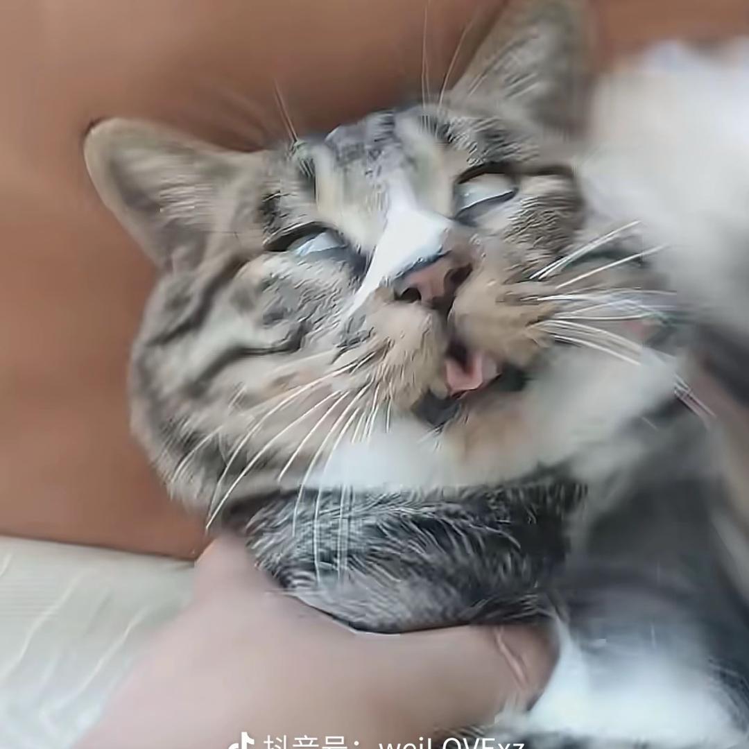 原穹