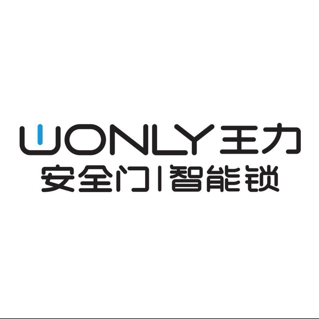 镇雄王力安全门赵会