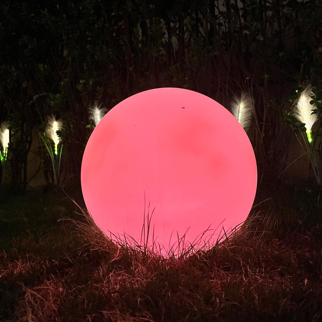 小汪带你逛吃逛吃