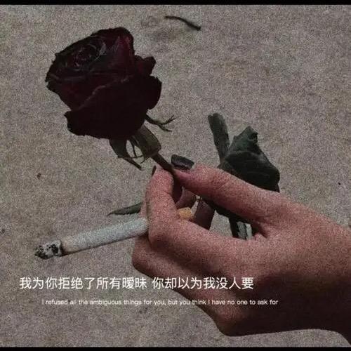 ☘️小徐🤛🤜同志🌿