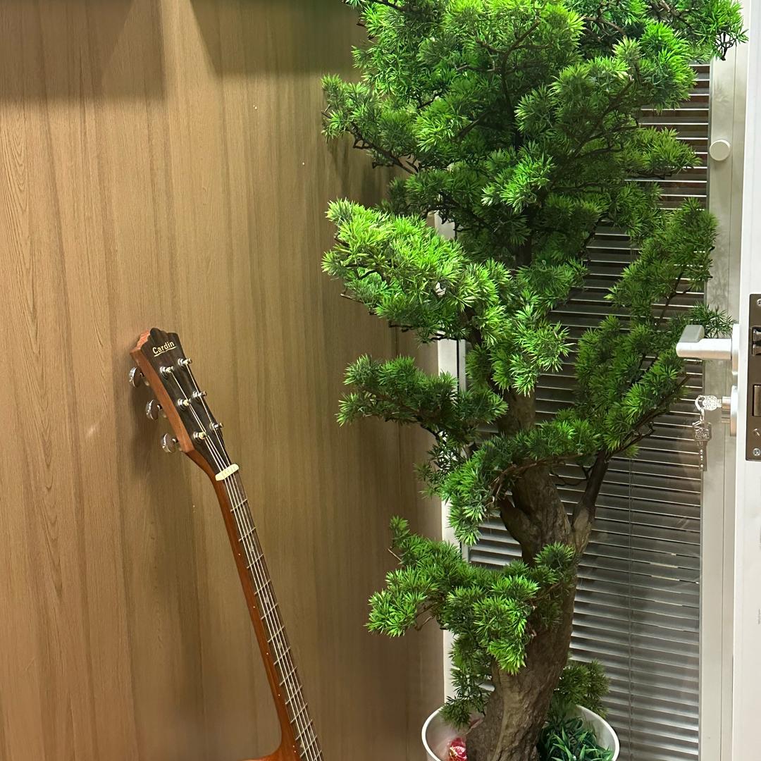舒缓