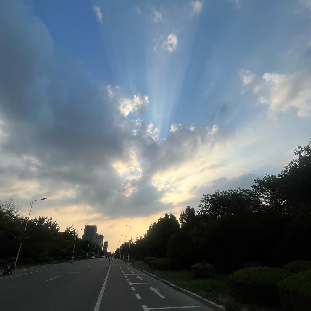 萍萍（看我收臧）