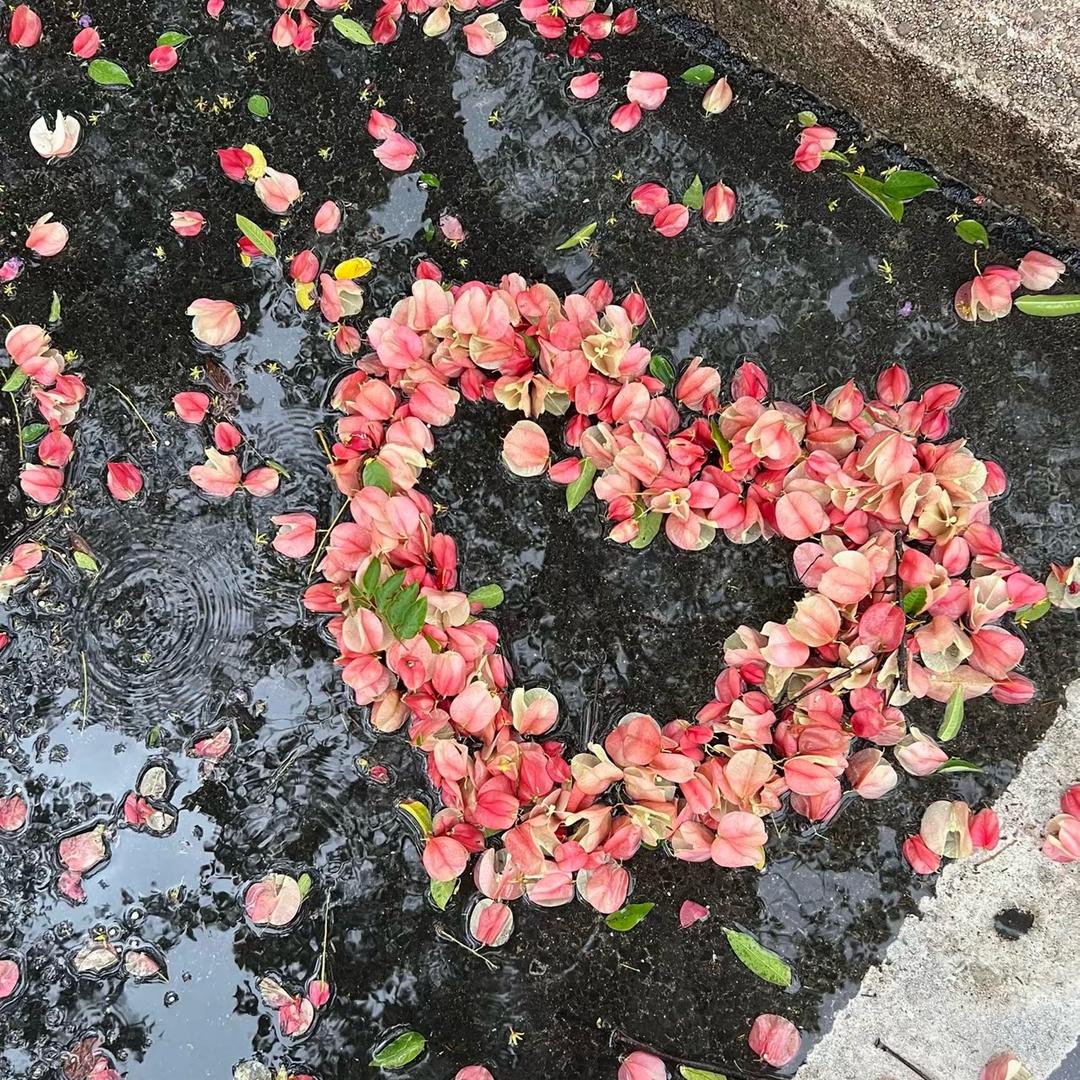 那一天