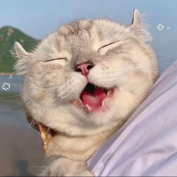 长乘风