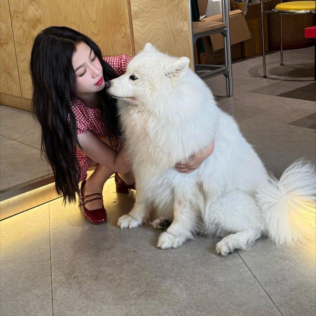 我要朝九晚五加双休