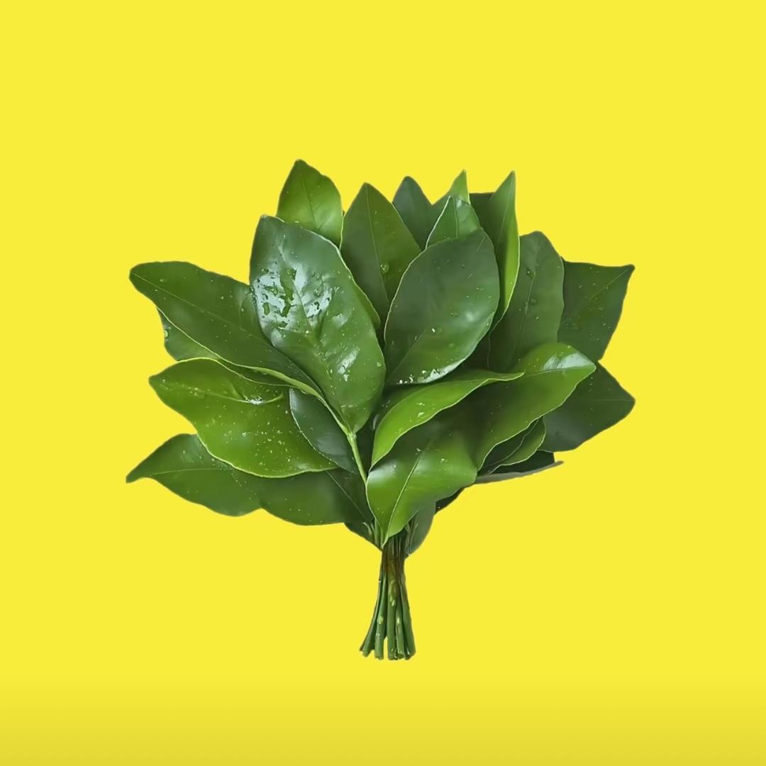 财神爷心尖宠的小陈