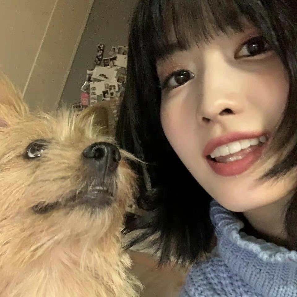 游乐王子的妹妹