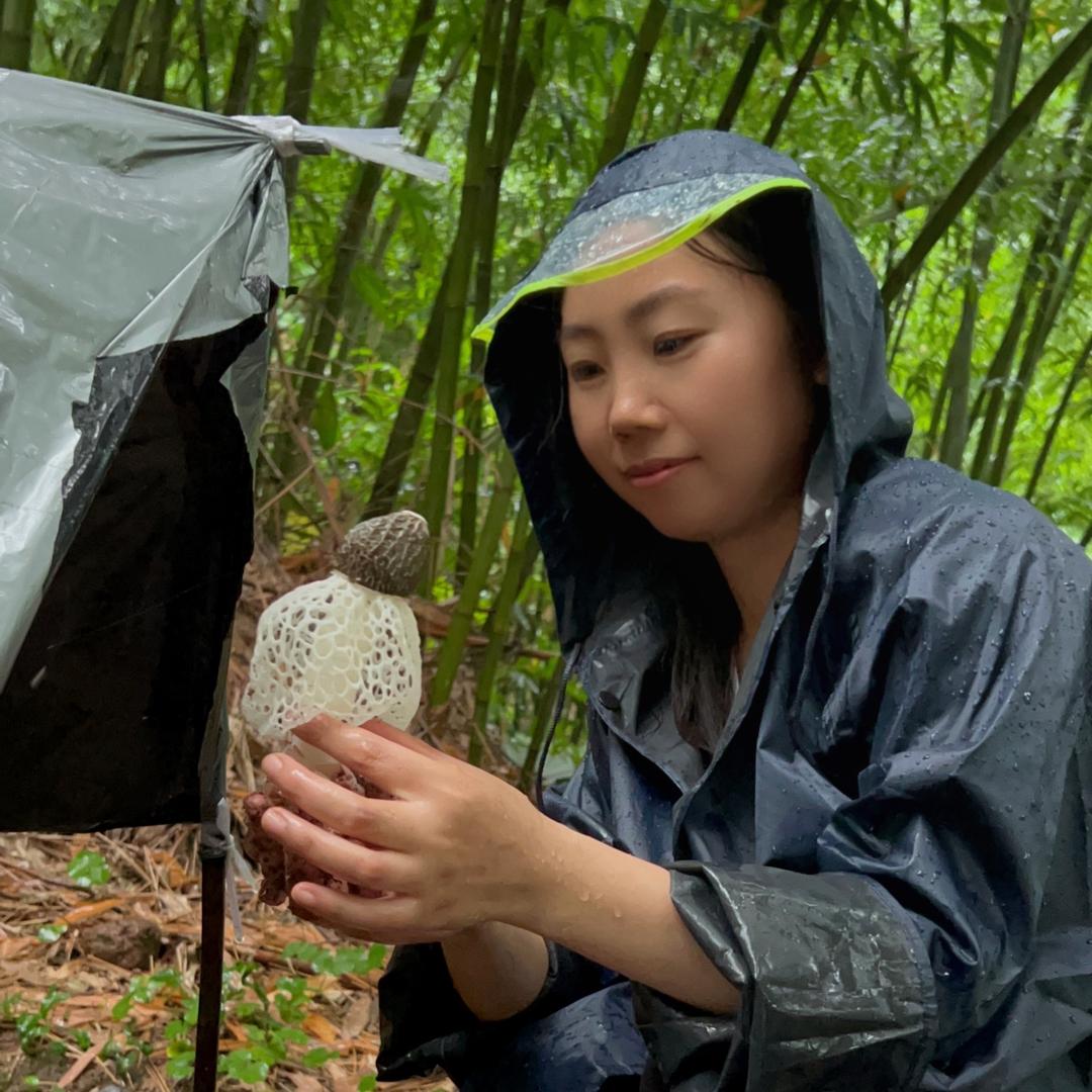 冠萃林业-科研部