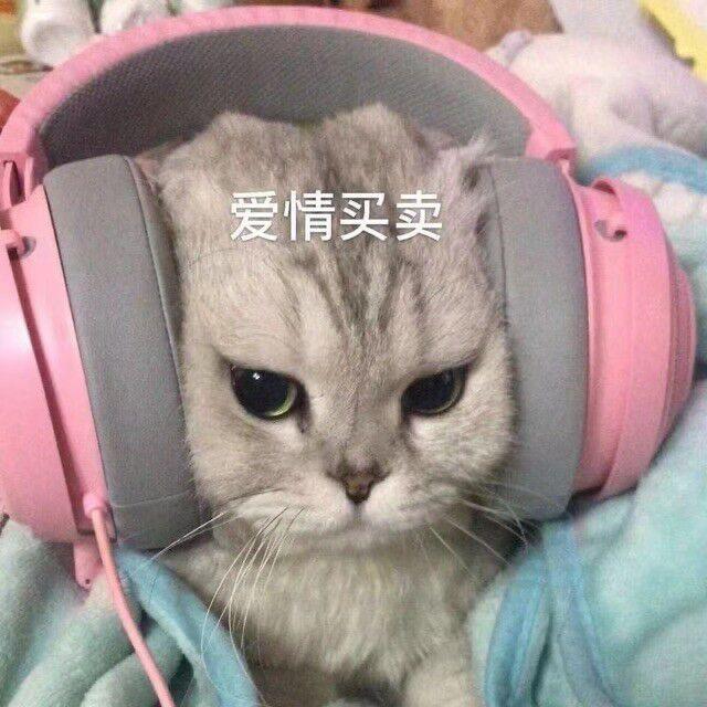 跑得快大王